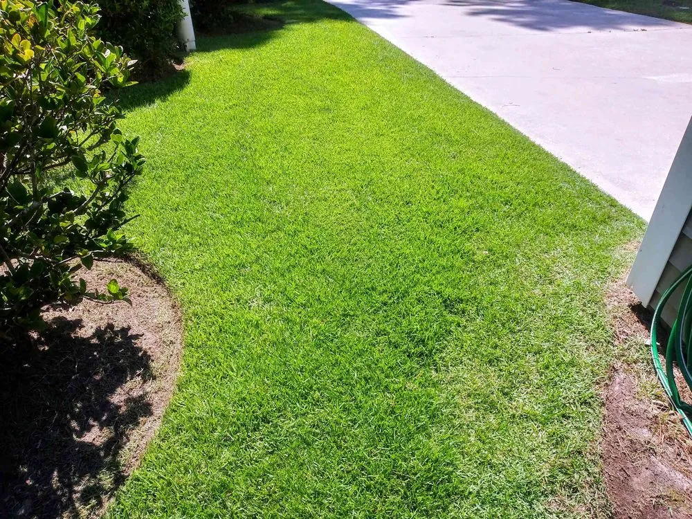 Affordable landscape design in Hilton Head Island, SC - SouthernCoast Landscaping