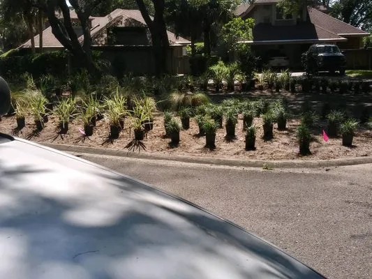 SouthernCoast Landscaping Logo