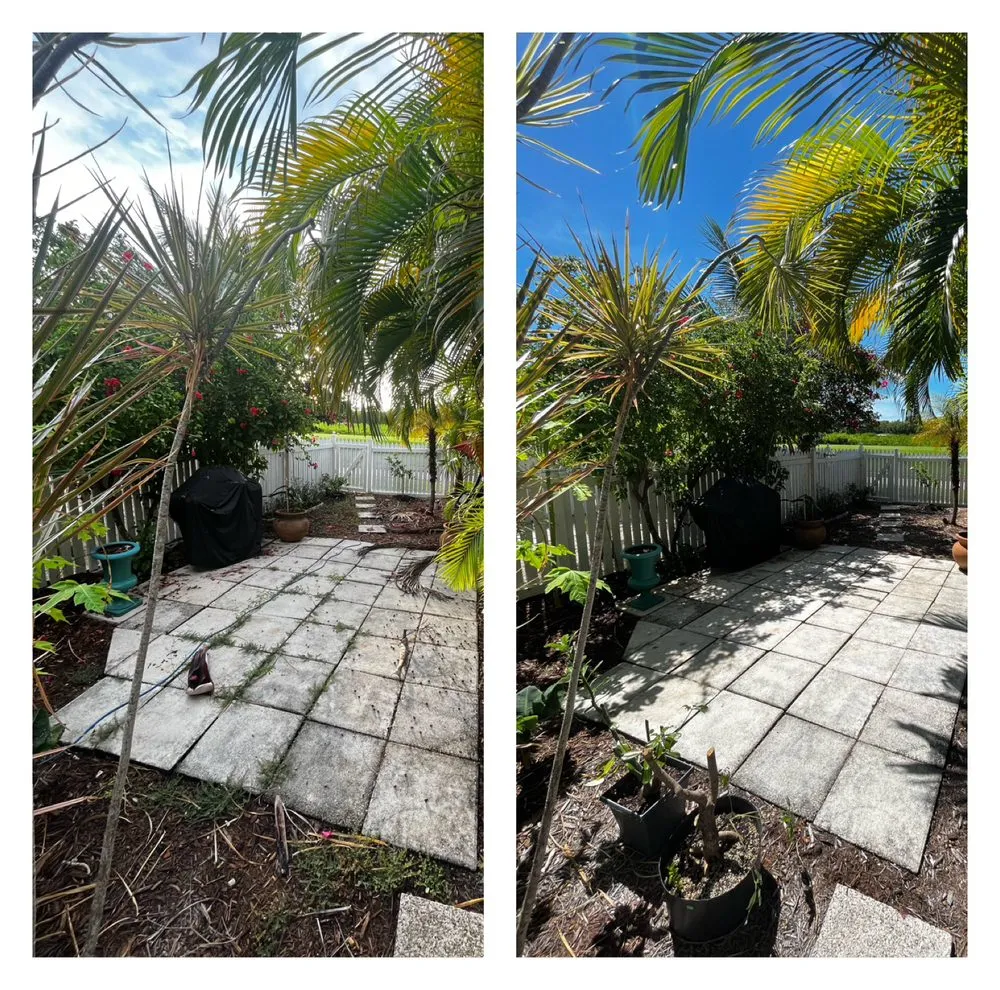 Custom yard cleanup service for residential properties in Key West, FL by Southernmost Landscape Maintenance