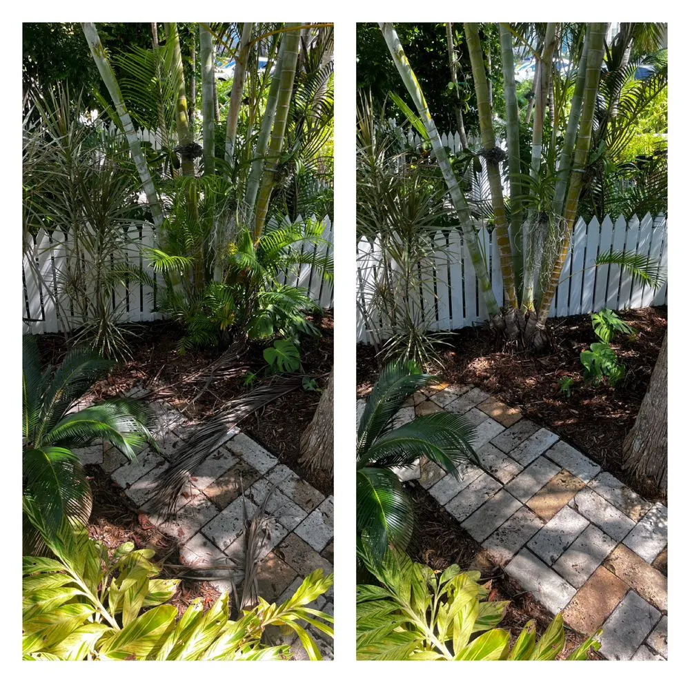 Professional outdoor landscaping experts serving Key West, FL - Southernmost Landscape Maintenance