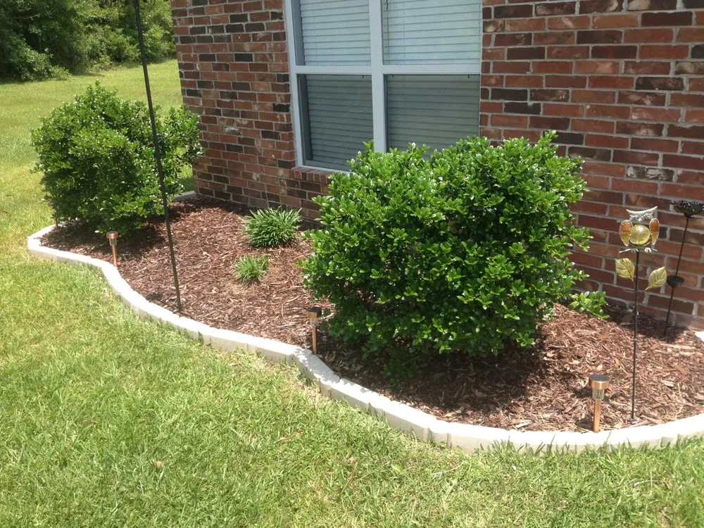 Top-rated lawn care service for beautiful yards across Biloxi, MS - SouthernScapes