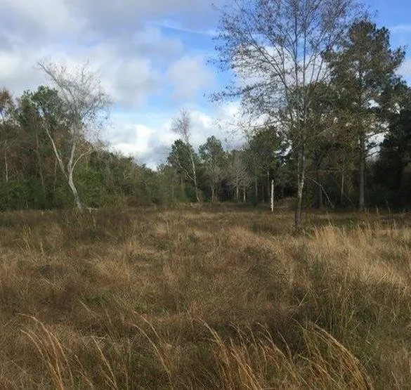 Professional outdoor landscaping experts serving Biloxi, MS - SouthernScapes