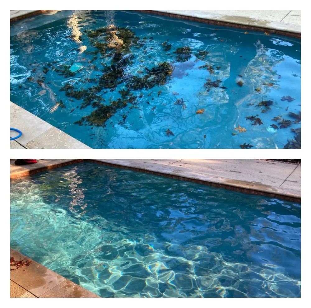 Local outdoor landscaping with custom design across Charleston, SC - SouthernSkies