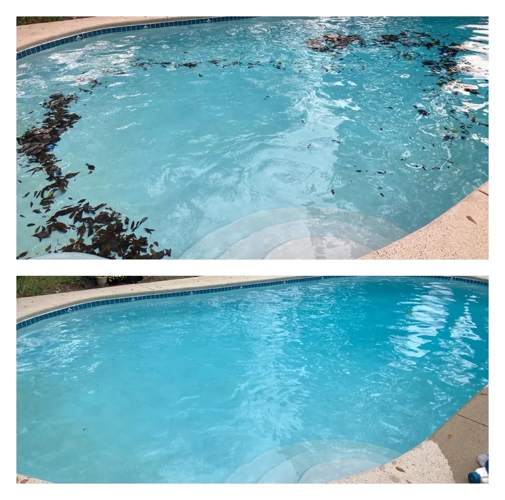 Reliable garden landscaping with custom design across Charleston, SC - SouthernSkies