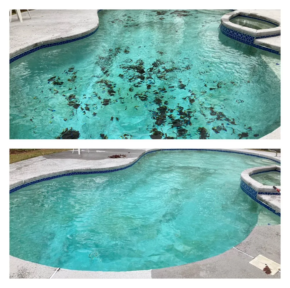 Professional yard cleanup service for year-round maintenance across Charleston, SC - SouthernSkies