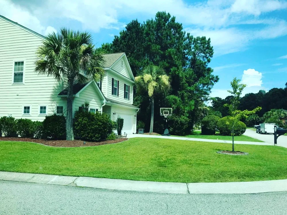 Local yard cleanup service in Charleston, SC by SouthernSkies