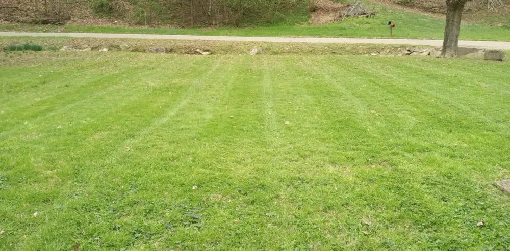 Trusted lawn care service in Ironton, OH - Southers Affordable Lawncare