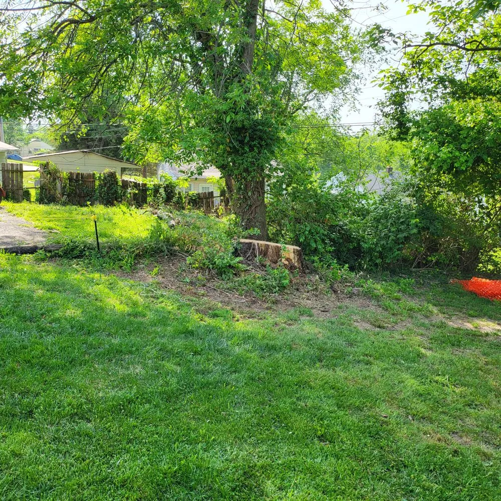 Trusted landscape design in Kirkwood, MO - Southfork Tree Service