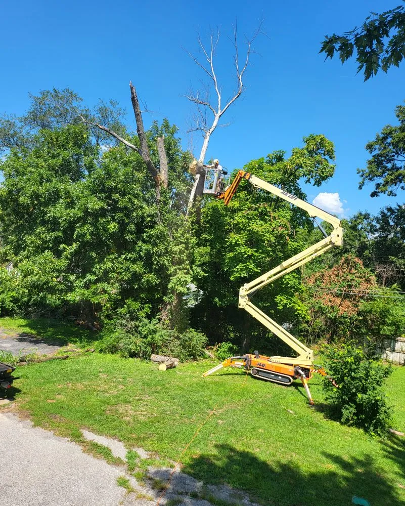 Custom garden landscaping in Kirkwood, MO by Southfork Tree Service