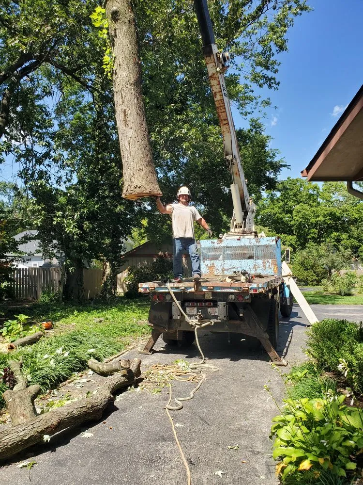 Professional garden landscaping in Kirkwood, MO by Southfork Tree Service