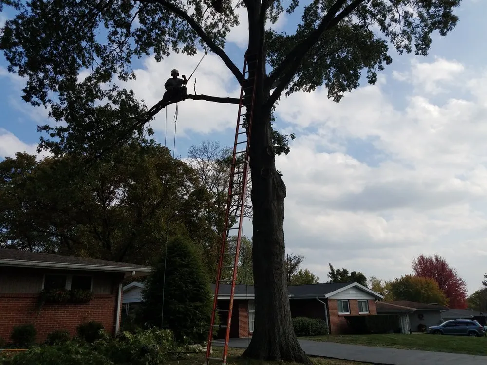 Reliable lawn care service in Kirkwood, MO - Southfork Tree Service