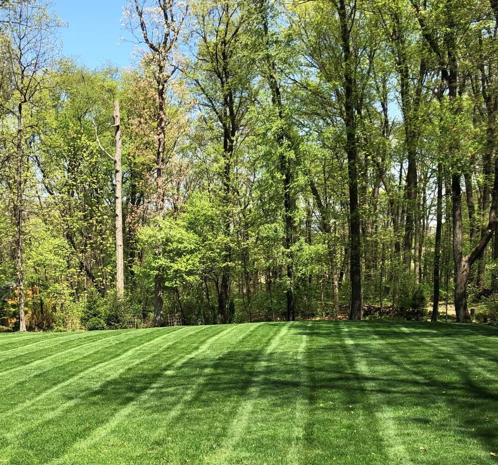 Trusted landscape design in Crown Point, IN - Southlake Services