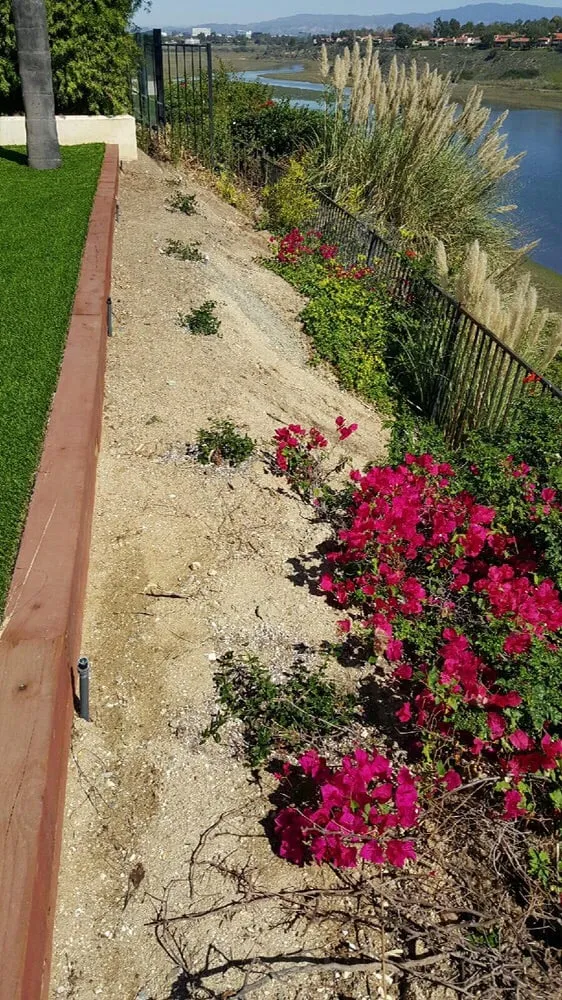 Local yard cleanup service for outdoor upgrades across Tustin, CA - Southland Landscape Construction