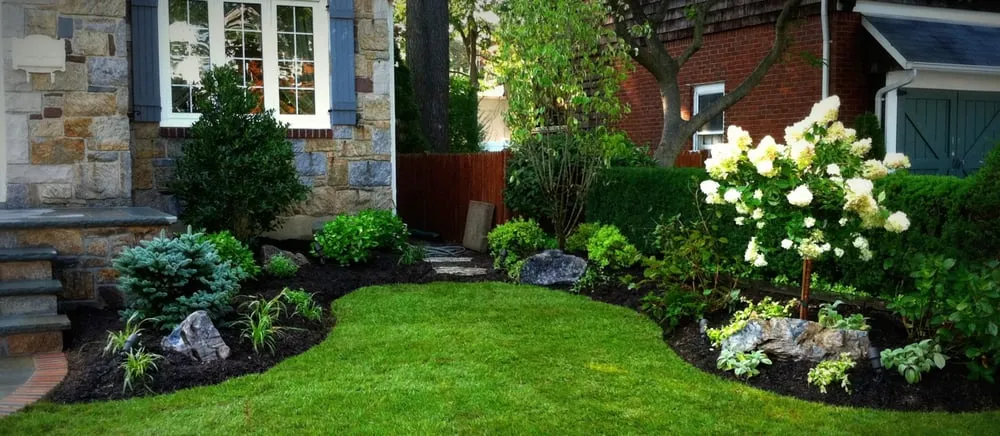 Reliable yard cleanup service near you in Tustin, CA by Southland Landscape Construction