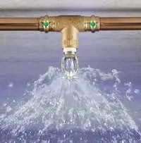 Reliable landscape design experts serving Tustin, CA - Southland Landscape Construction