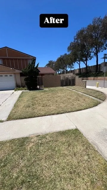 Expert yard cleanup service experts serving Cerritos, CA - Southland Lawn Care