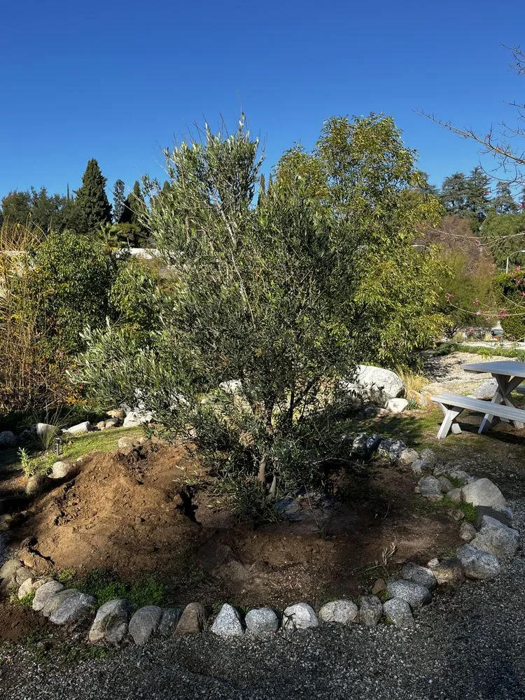 Affordable yard maintenance experts serving Sun Valley, CA - Southland Nursery