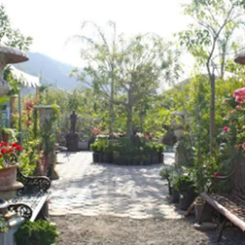 Affordable lawn care service experts serving Sun Valley, CA - Southland Nursery