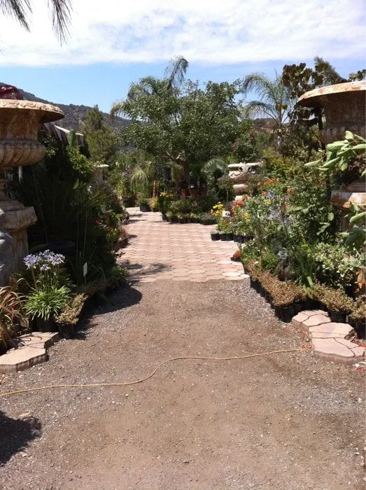 Reliable lawn care service for outdoor upgrades across Sun Valley, CA - Southland Nursery