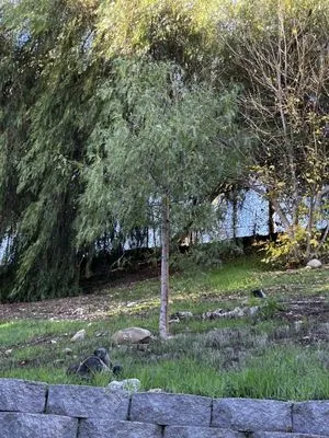 Southland Nursery Logo