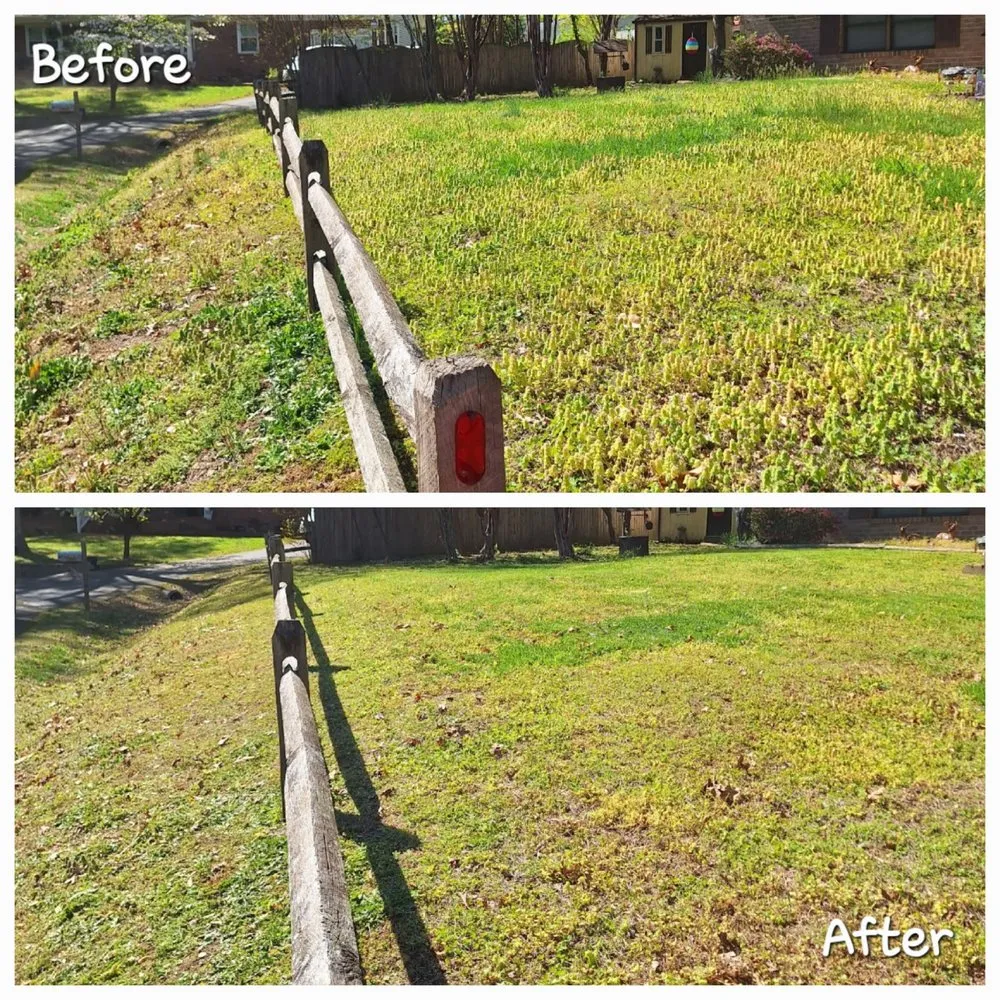 Expert landscape installation for homes in Locust Grove, VA by Southland Services