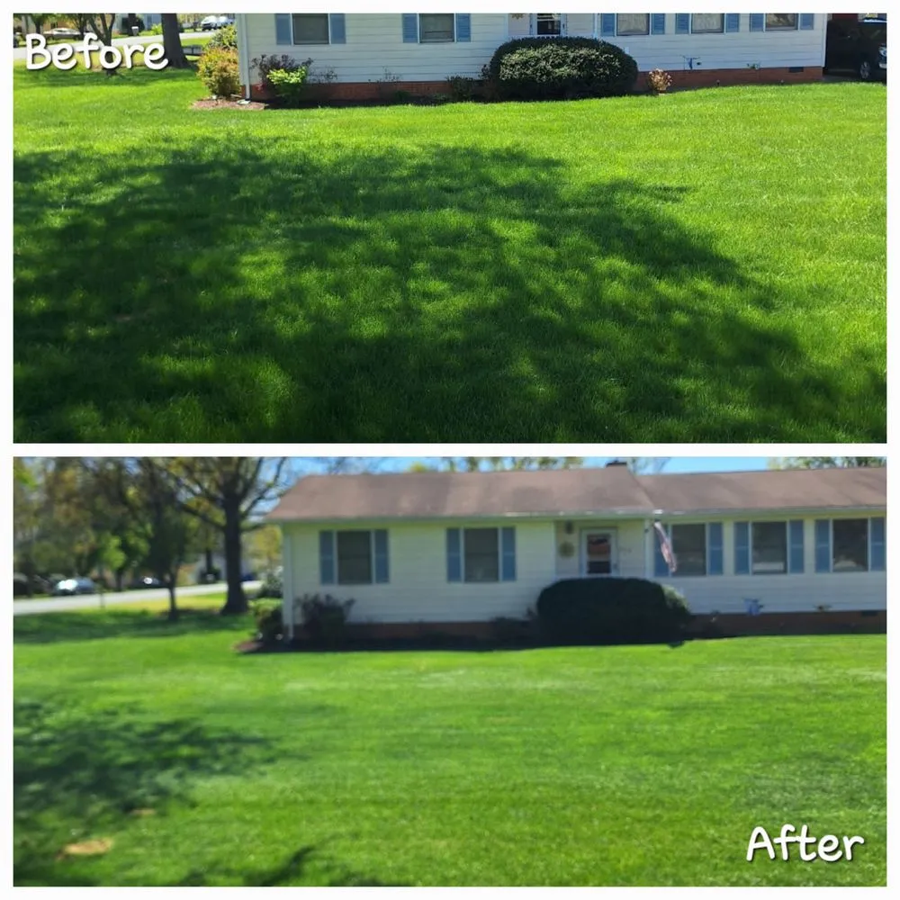 Trusted yard cleanup service experts serving Locust Grove, VA - Southland Services