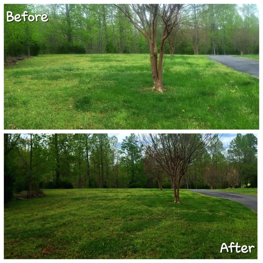 Trusted lawn care service experts serving Locust Grove, VA - Southland Services