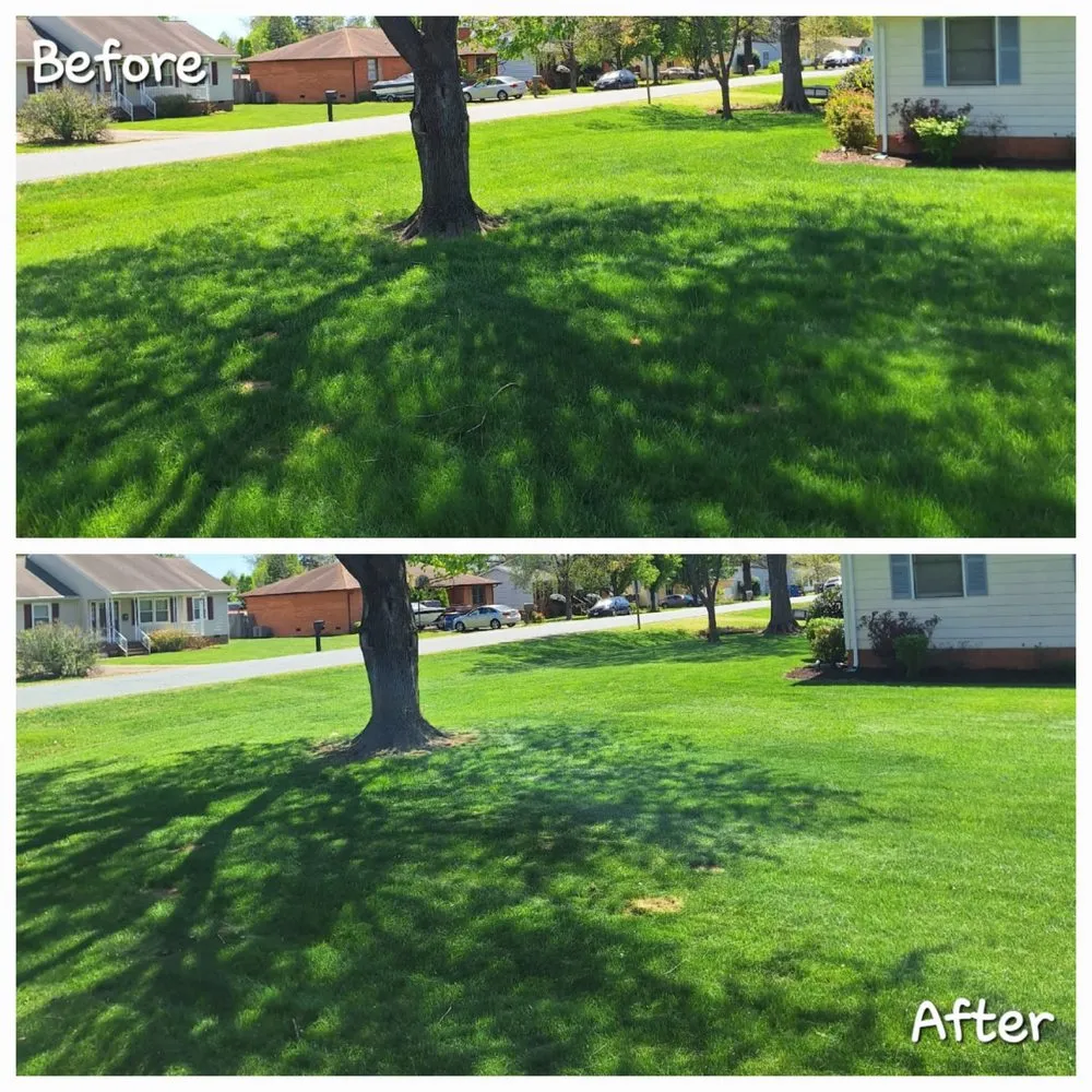 Local outdoor landscaping for beautiful yards across Locust Grove, VA - Southland Services