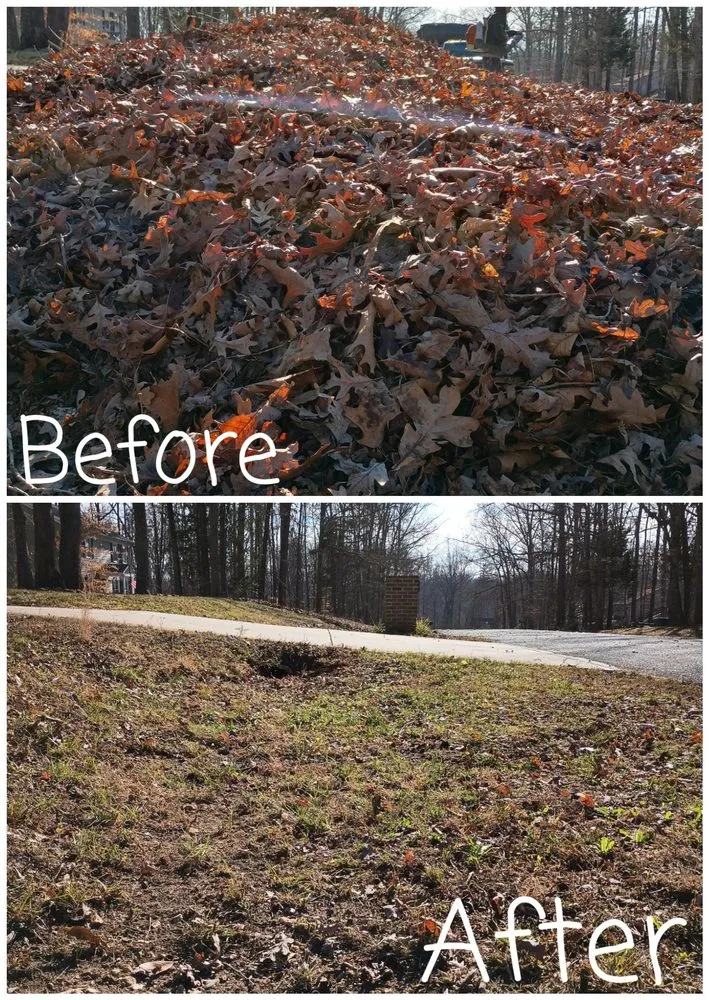 Top-rated outdoor landscaping experts serving Locust Grove, VA - Southland Services