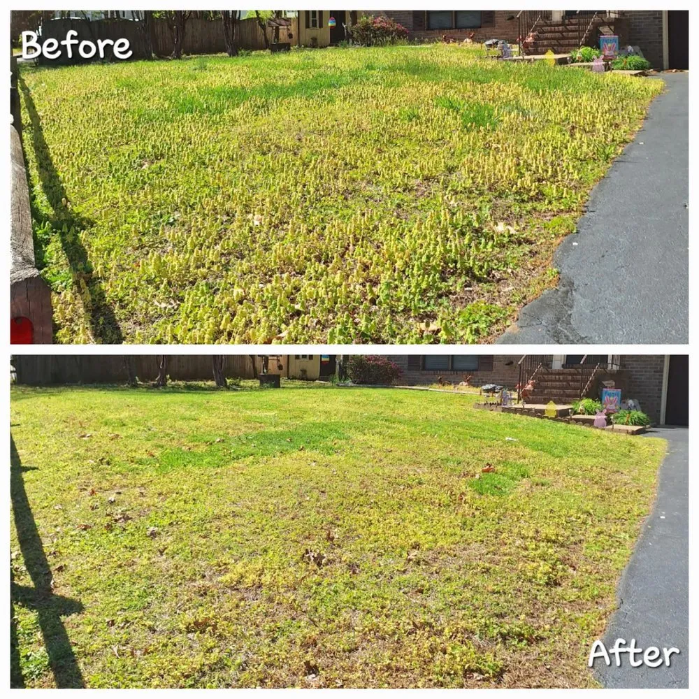Trusted lawn care service near you across Locust Grove, VA - Southland Services