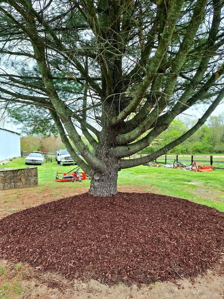 Affordable garden landscaping in Locust Grove, VA - Southland Services