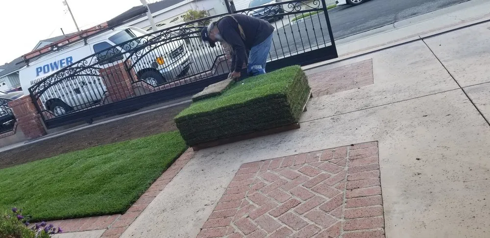Local yard cleanup service in Oxnard, CA by Southland Sod Farms