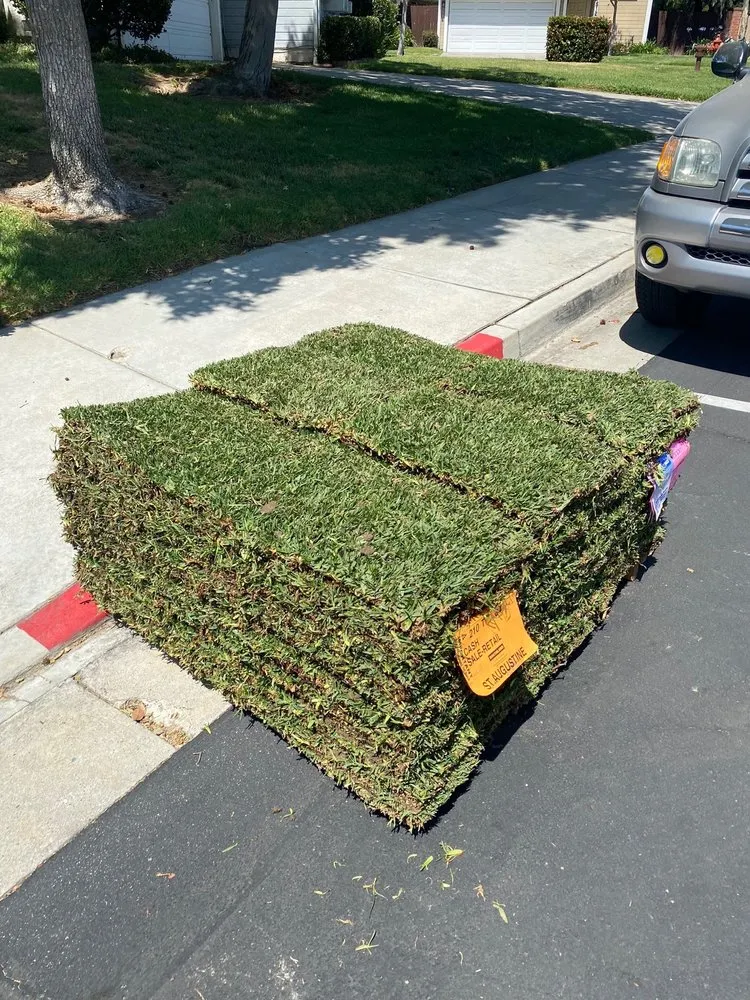 Trusted yard cleanup service in Oxnard, CA - Southland Sod Farms