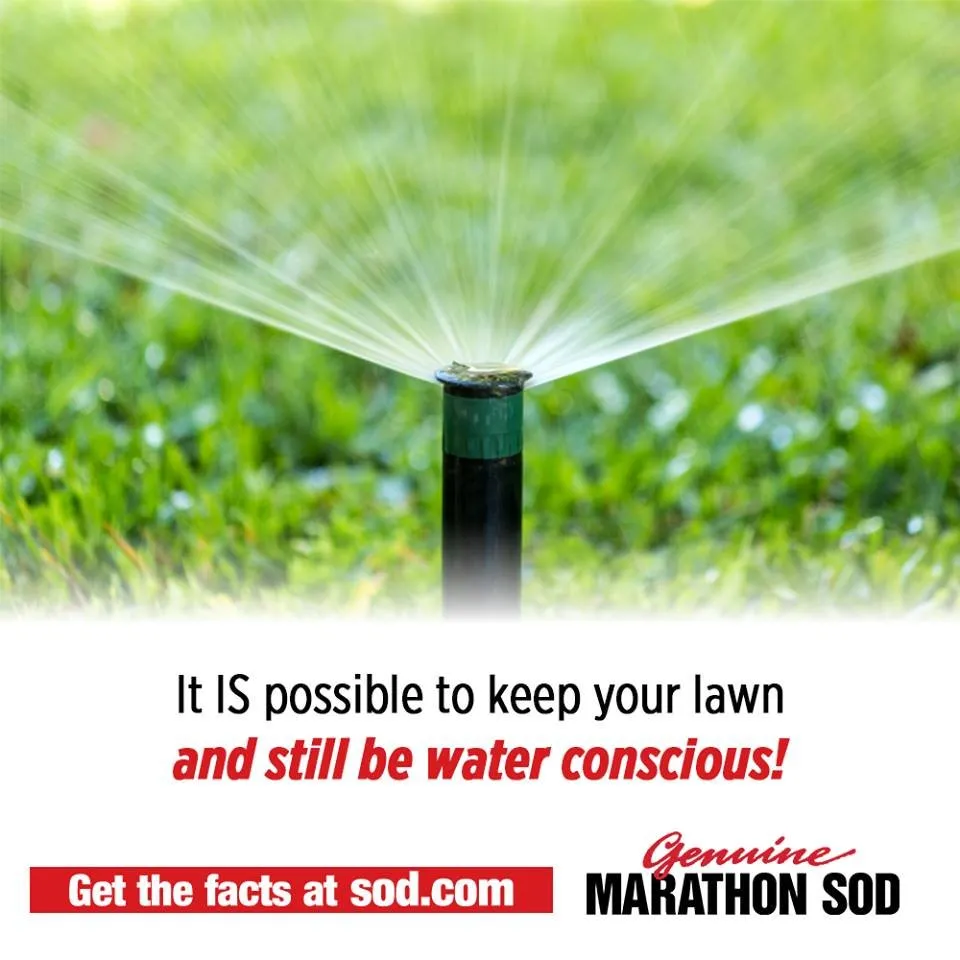 Affordable landscape installation in Oxnard, CA by Southland Sod Farms