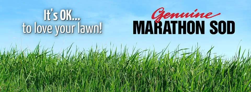 Top-rated landscaping services experts serving Oxnard, CA - Southland Sod Farms