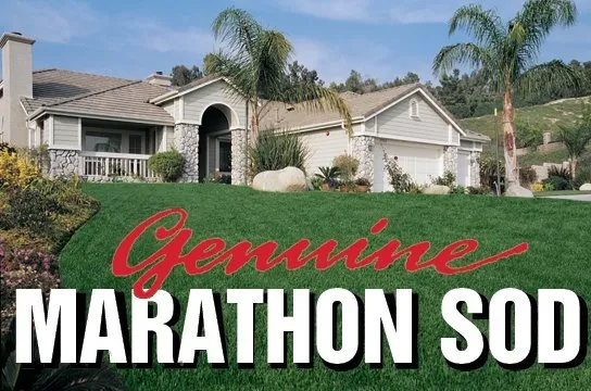 Local landscape installation in Oxnard, CA by Southland Sod Farms