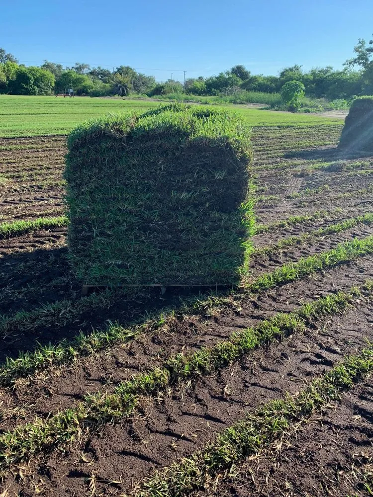 Reliable yard cleanup service in Ruskin, FL by Southshore Landscape Supply