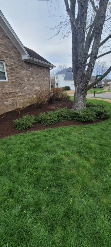 Affordable outdoor landscaping for outdoor upgrades in Thompson's Station, TN by Southside Grounds
