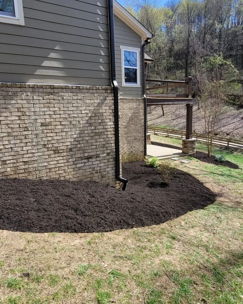 Professional residential landscaping for outdoor upgrades in Thompson's Station, TN by Southside Grounds