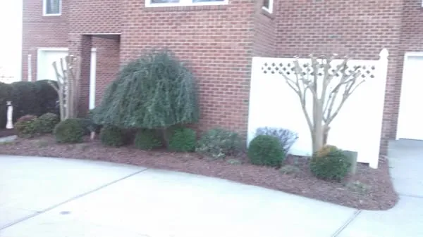 Southside Irrigation & Lawn