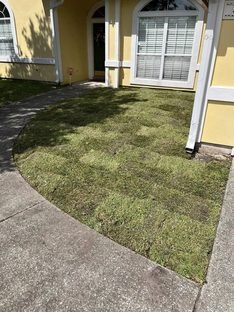 Expert residential landscaping in Neptune Beach, FL - Southside Outdoor Services