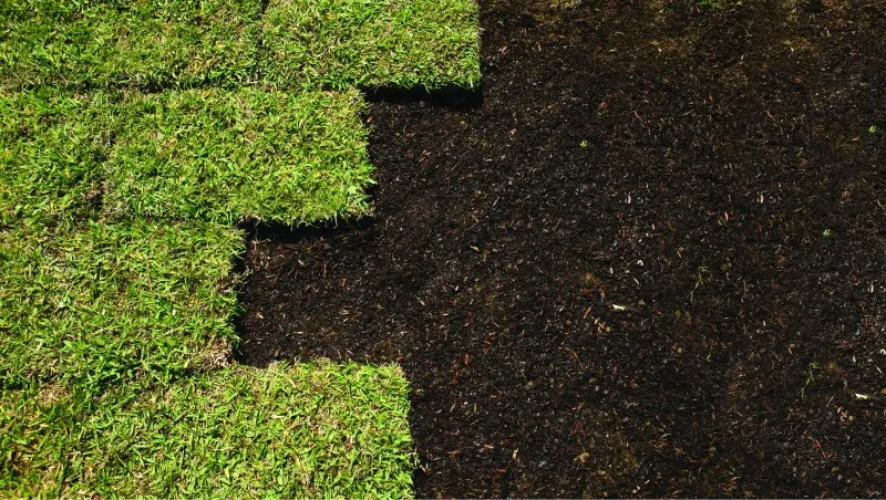 Expert landscape design for outdoor upgrades in Neptune Beach, FL by Southside Outdoor Services