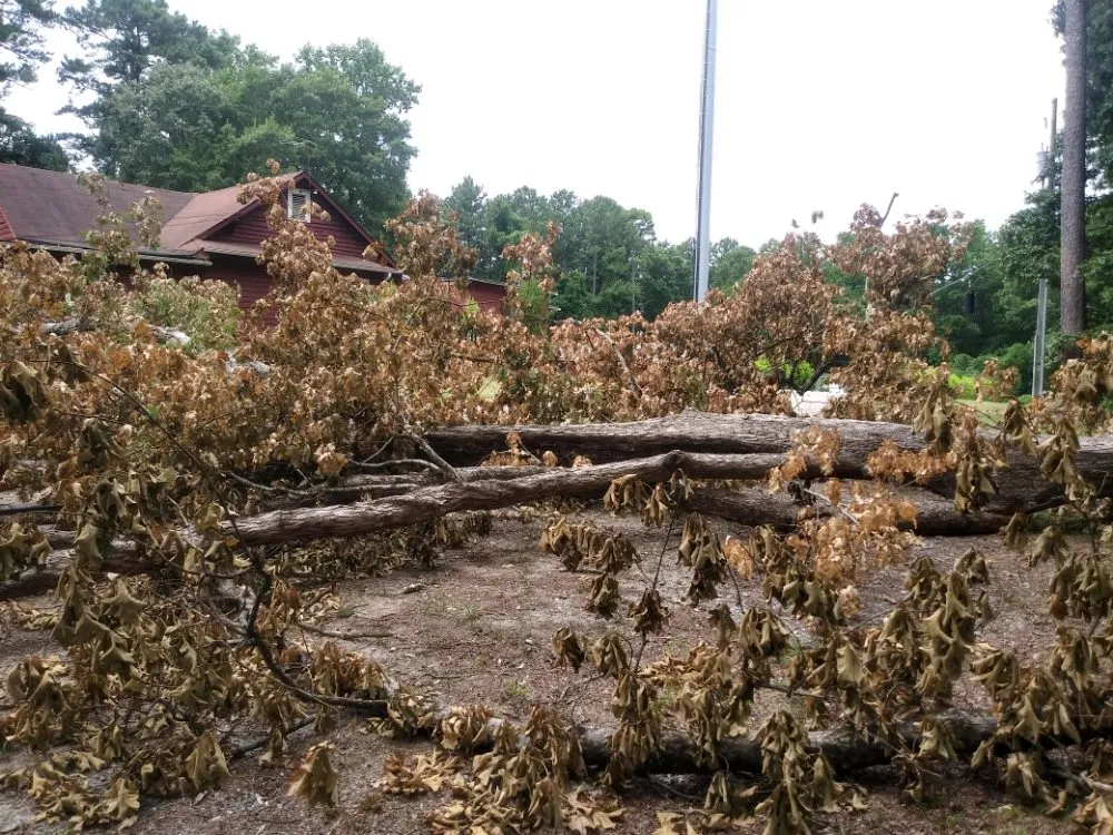 Trusted landscaping services experts serving McDonough, GA - SouthSide Solutions