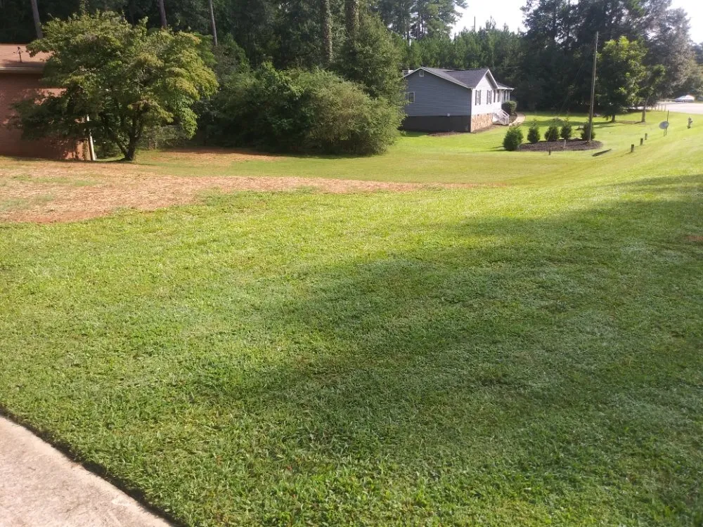 Affordable landscape installation for year-round maintenance in McDonough, GA by SouthSide Solutions