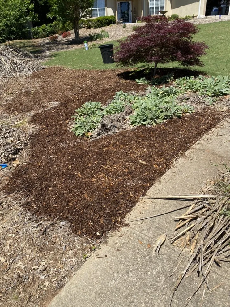 Local landscaping services for year-round maintenance across McDonough, GA - SouthSide Solutions