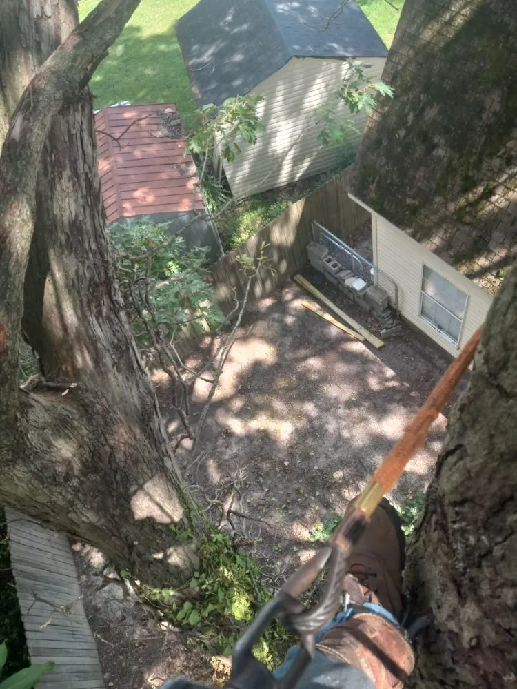 Local garden landscaping experts serving Portsmouth, VA - Southside Tree Service