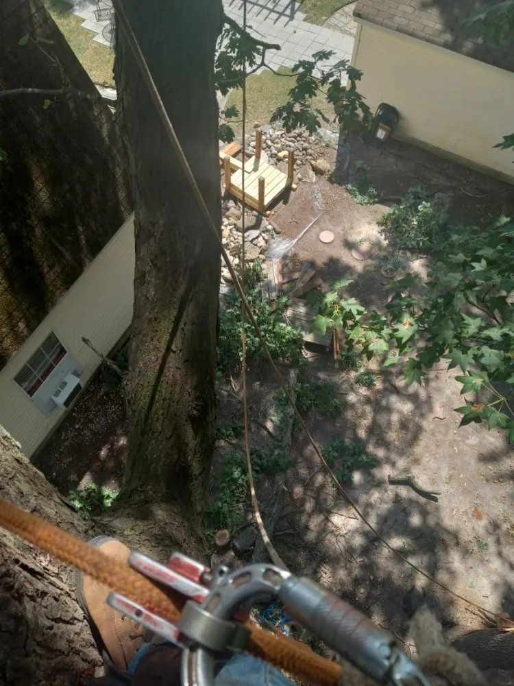 Trusted landscaping services in Portsmouth, VA by Southside Tree Service