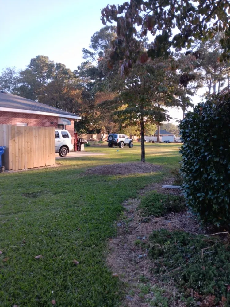 Reliable landscape installation in Portsmouth, VA by Southside Tree Service