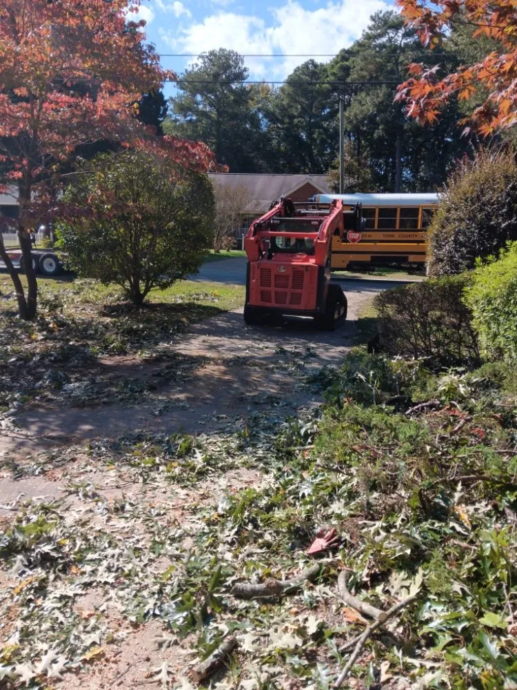 Top-rated landscape installation near you across Portsmouth, VA - Southside Tree Service