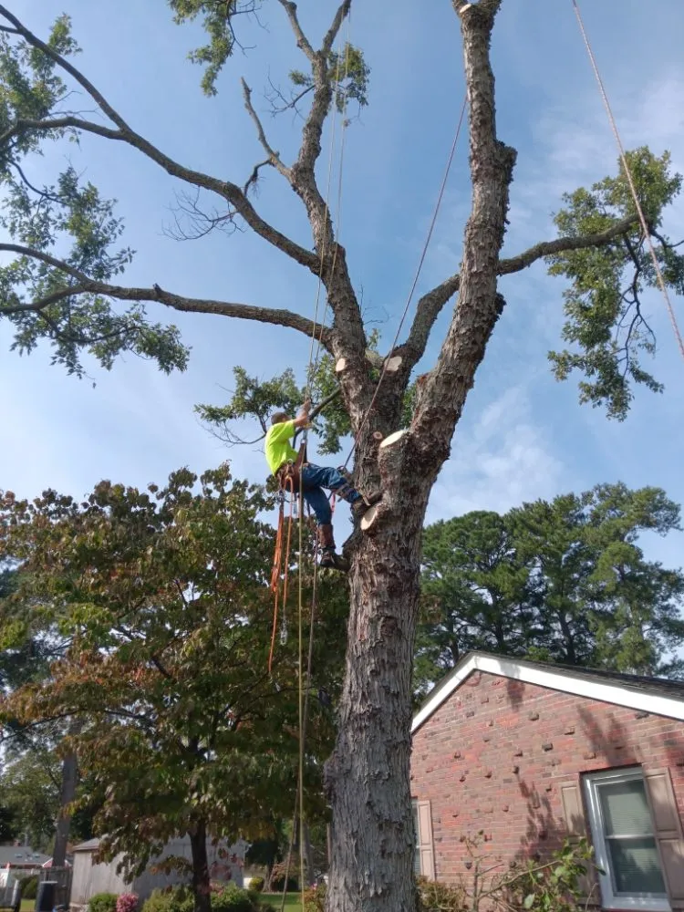 Custom residential landscaping in Portsmouth, VA by Southside Tree Service